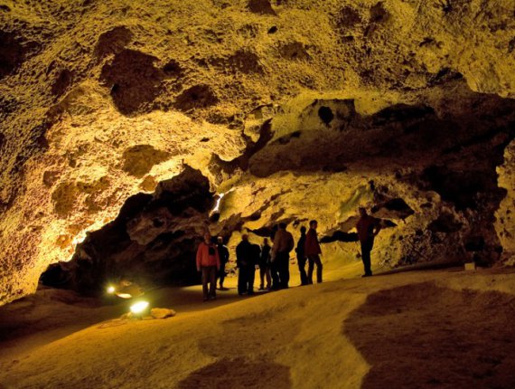 Quisque facilisis volutpat iacu