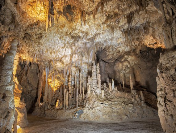 Integer tempor tortor