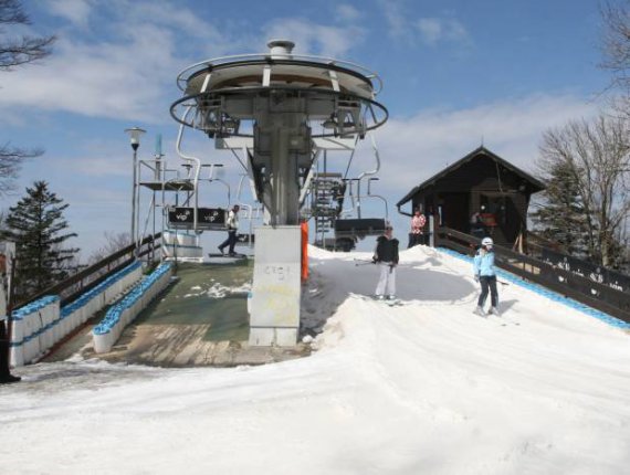 Donec eu augue interdu